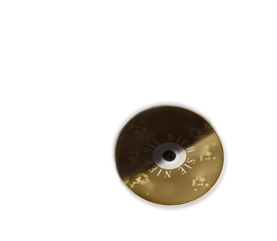 Warstwa z krążkiem